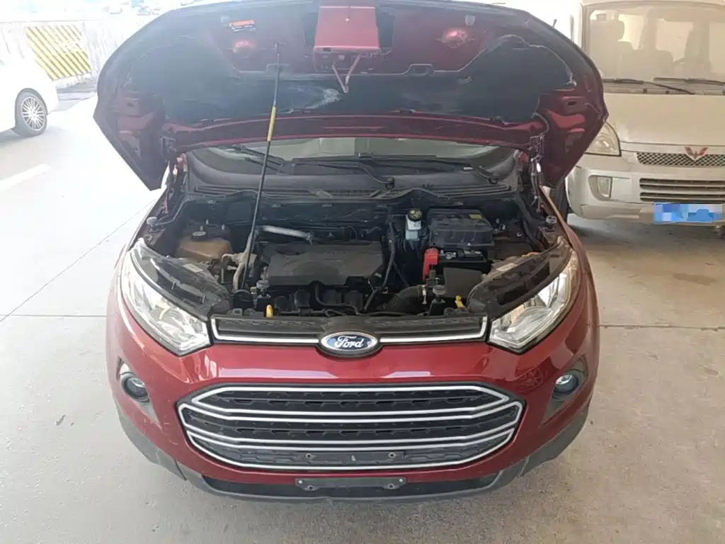 Ford EcoSport 2016 — фото 20