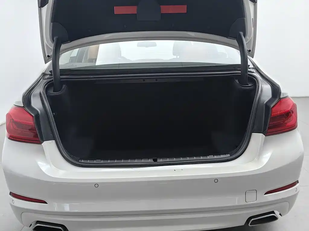 BMW 5 Series 2017 — фото 16