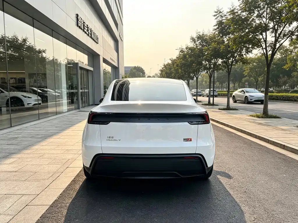 Tesla Model Y 2025 — фото 8