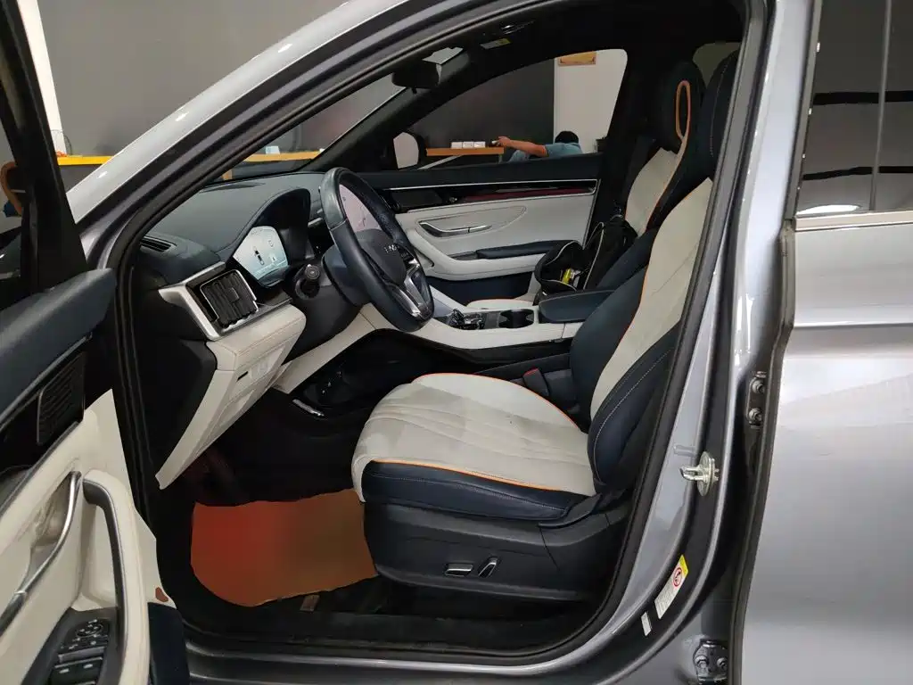 BYD Song PLUS New Energy 2024 — фото 11