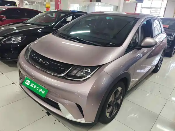 BYD Dolphin 2024