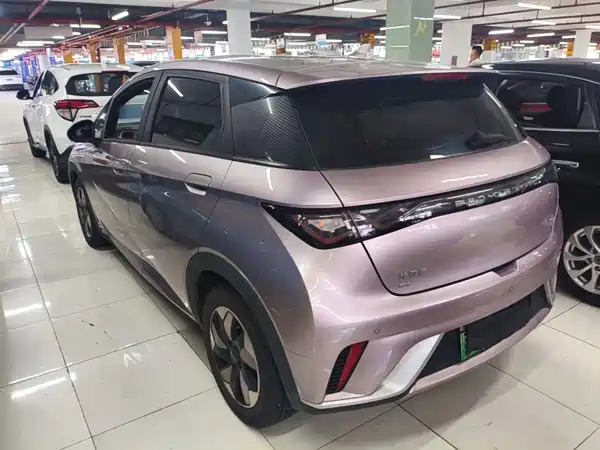 BYD Dolphin 2024