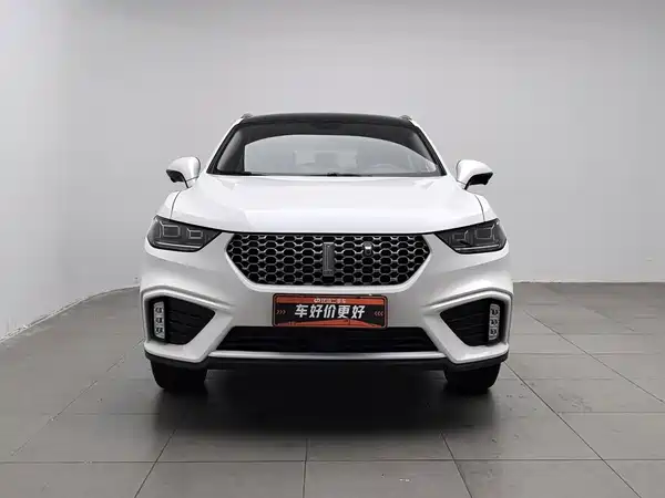 Wey VV5 2020