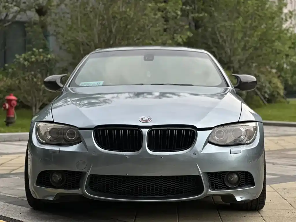 BMW 3 Series 2010