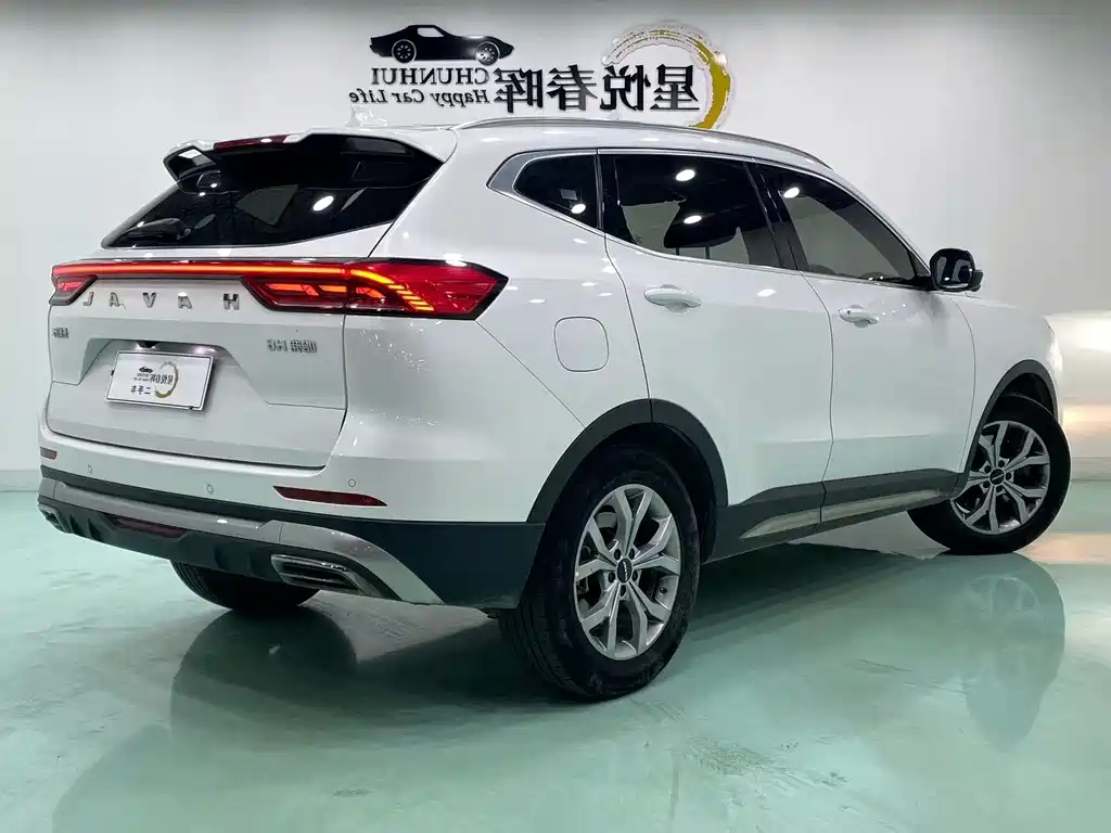 Haval H6 2022 — фото 9