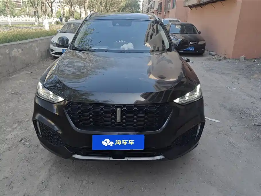 Wey VV6 2019