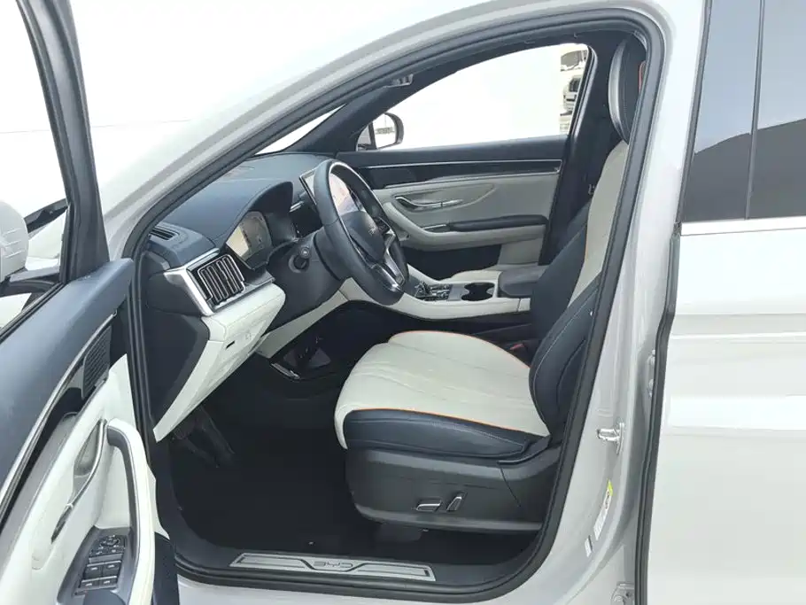 BYD Song PLUS New Energy 2024 — фото 9