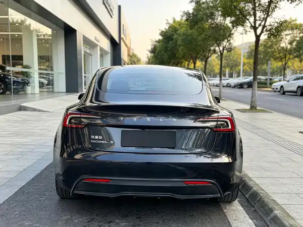 Tesla Model 3 2025