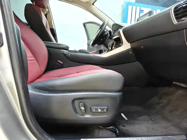 Lexus NX 2020