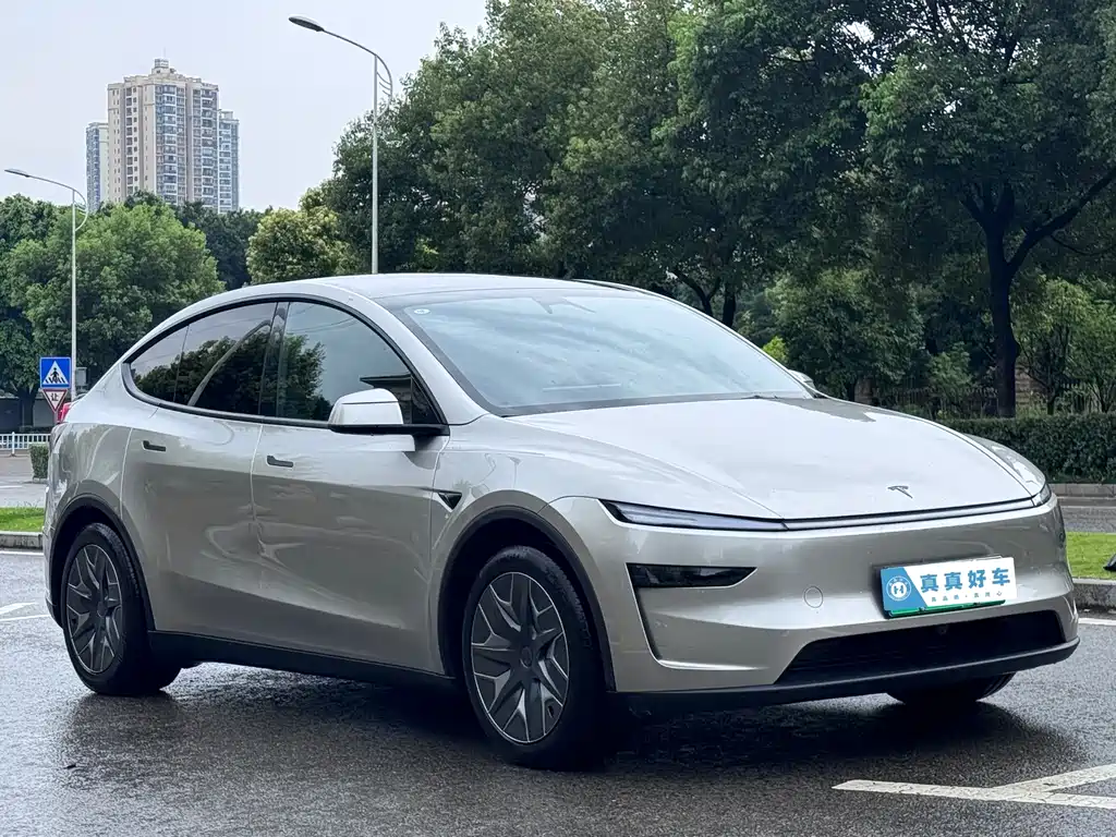 Tesla Model Y L 2025