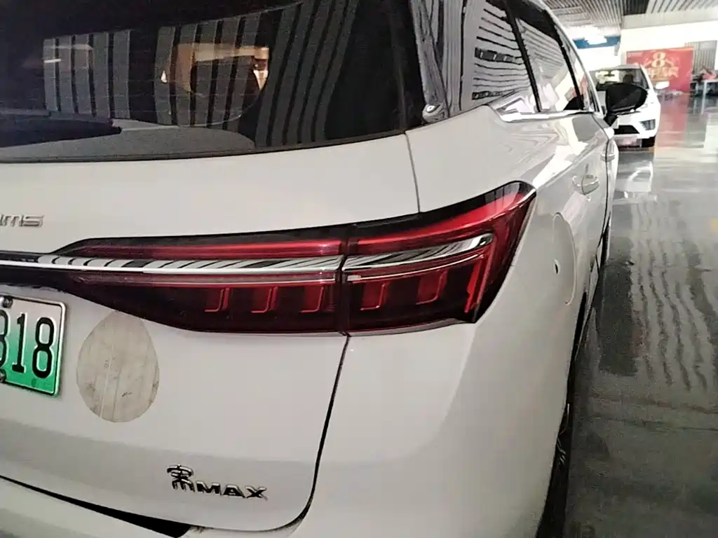 BYD Song MAX New Energy 2022 — фото 8