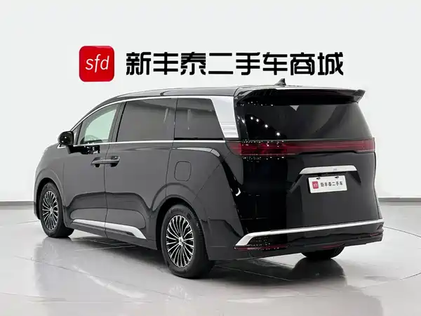 Denza D9 2025