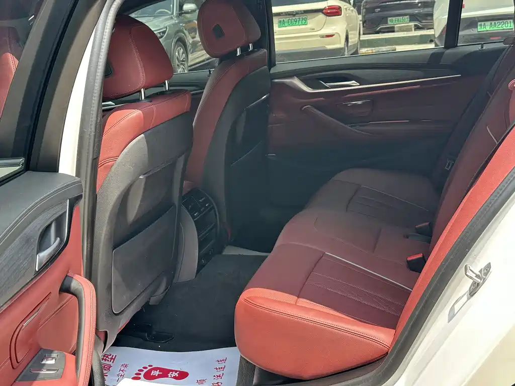 BMW 5 Series New Energy 2021