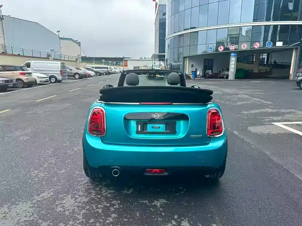 MINI 2018