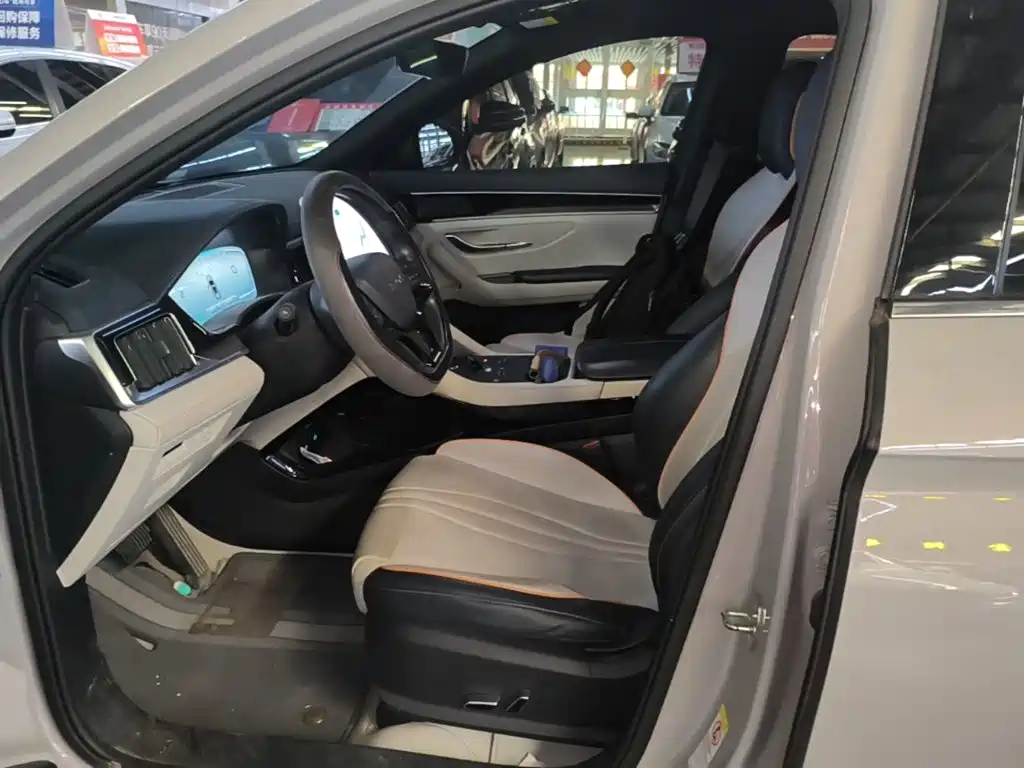 BYD Song PLUS New Energy 2024 — фото 15