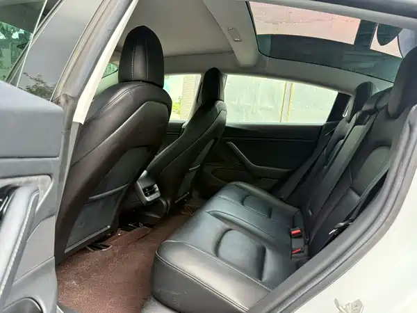 Tesla Model 3 2019
