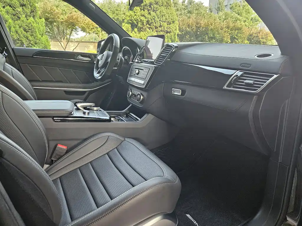 Mercedes-Benz GLS AMG 2017 — фото 9