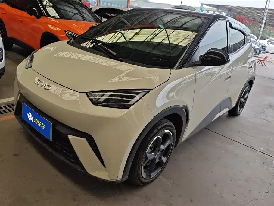 BYD Seagull 2024
