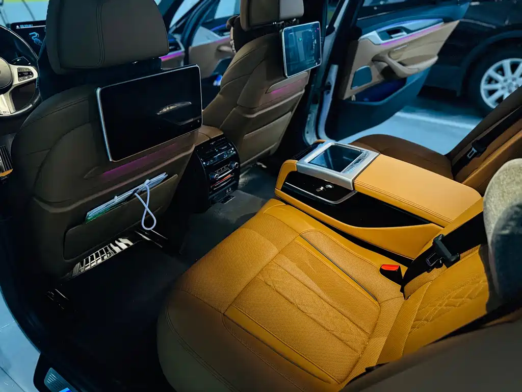 BMW 5 Series New Energy 2020