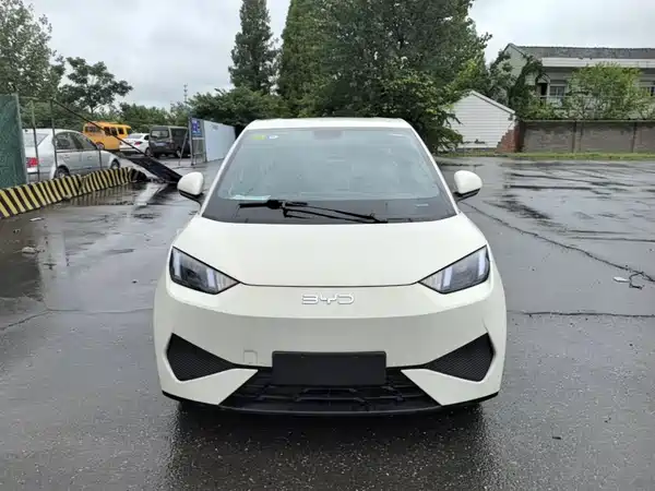 BYD Seagull 2026