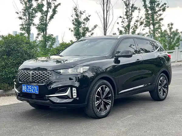 Wey VV6 2021