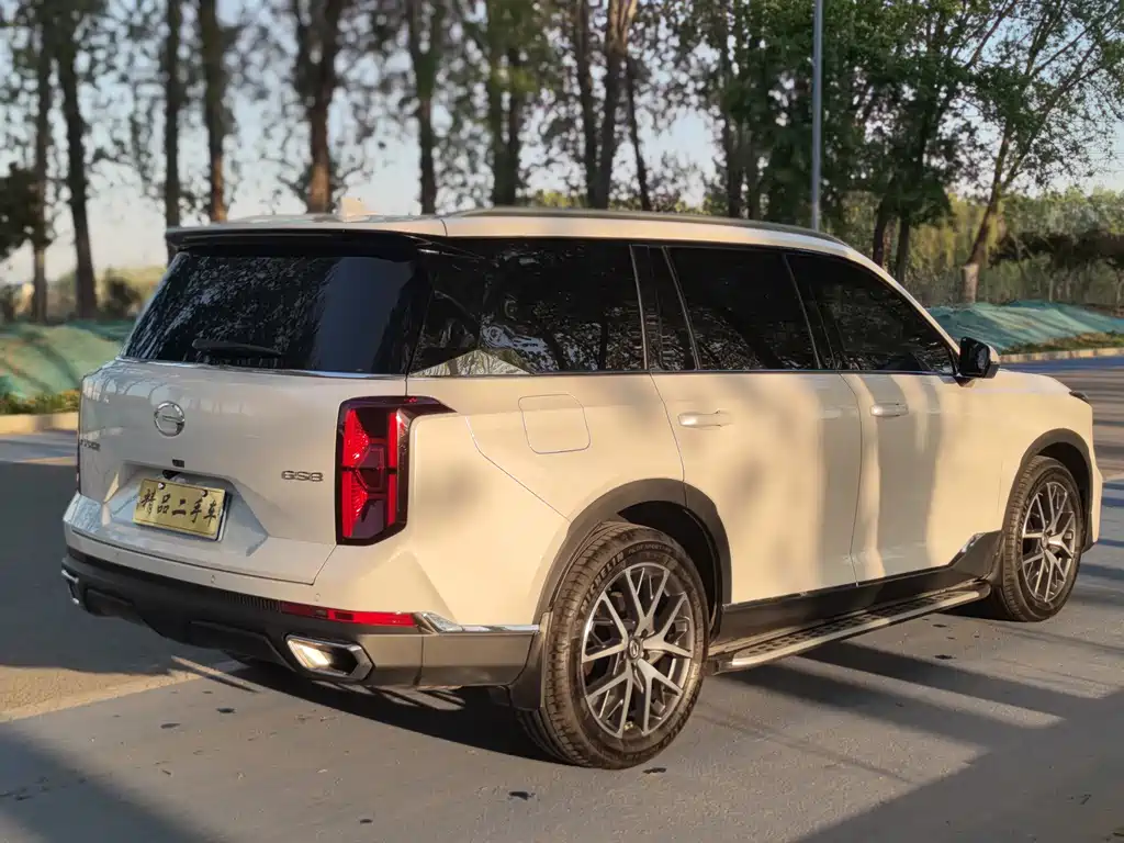 GAC Motor Trumpchi GS8 2023 — фото 6