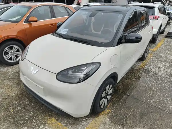 Wuling Bingo 2024