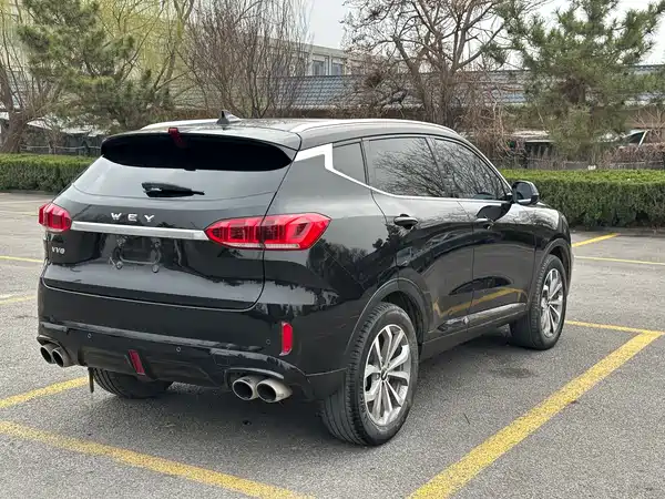 Wey VV6 2020