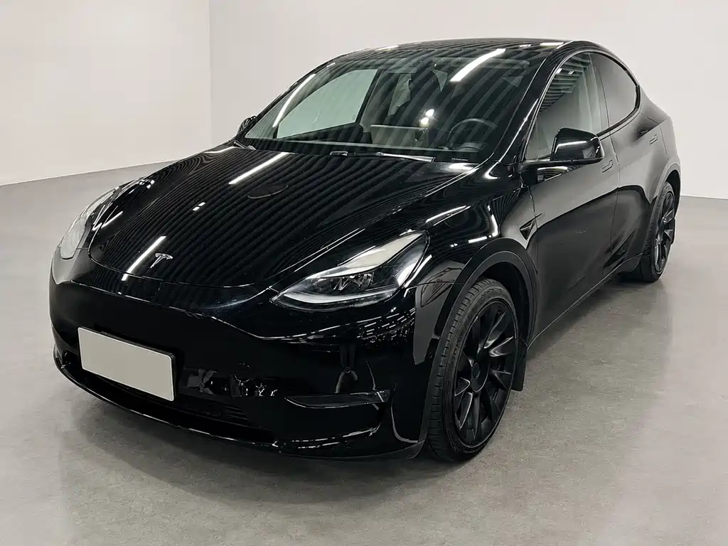 Tesla Model Y 2021 — фото 1