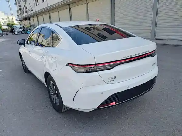 BYD Destroyer 05 2024