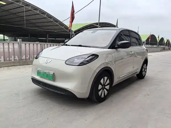 Wuling Bingo 2023