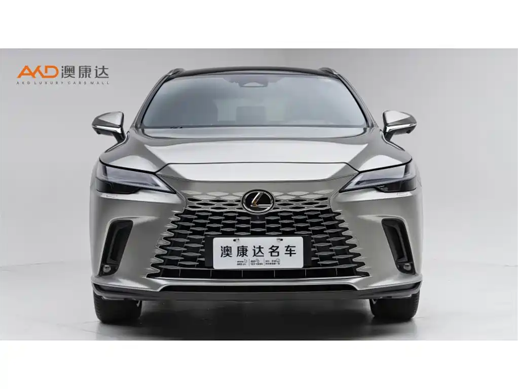 Lexus RX New Energy 2023 — фото 2