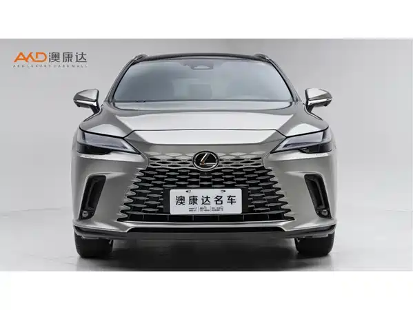 Lexus RX New Energy 2023