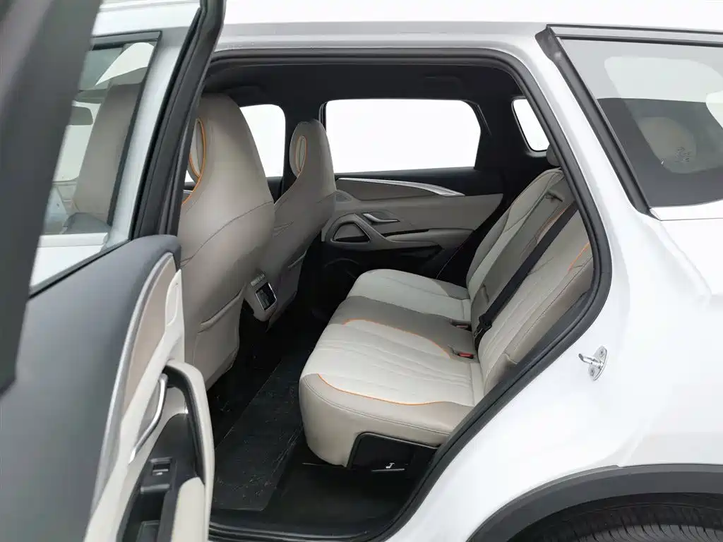 BYD Pro New Energy 2024 — фото 15