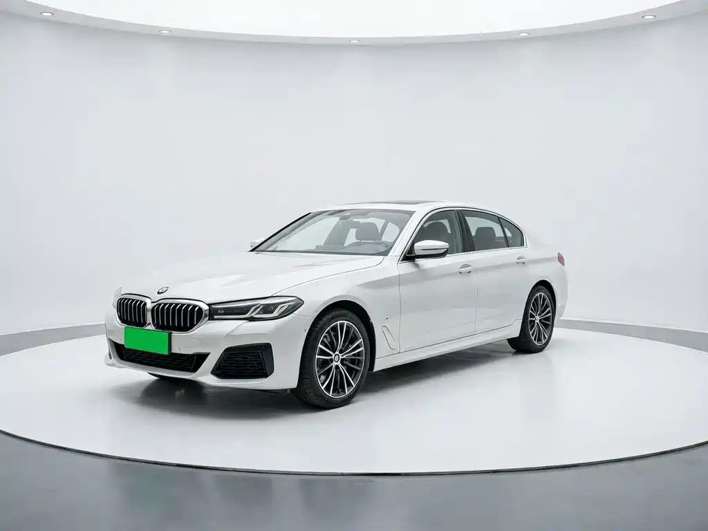 BMW 5 Series New Energy 2021