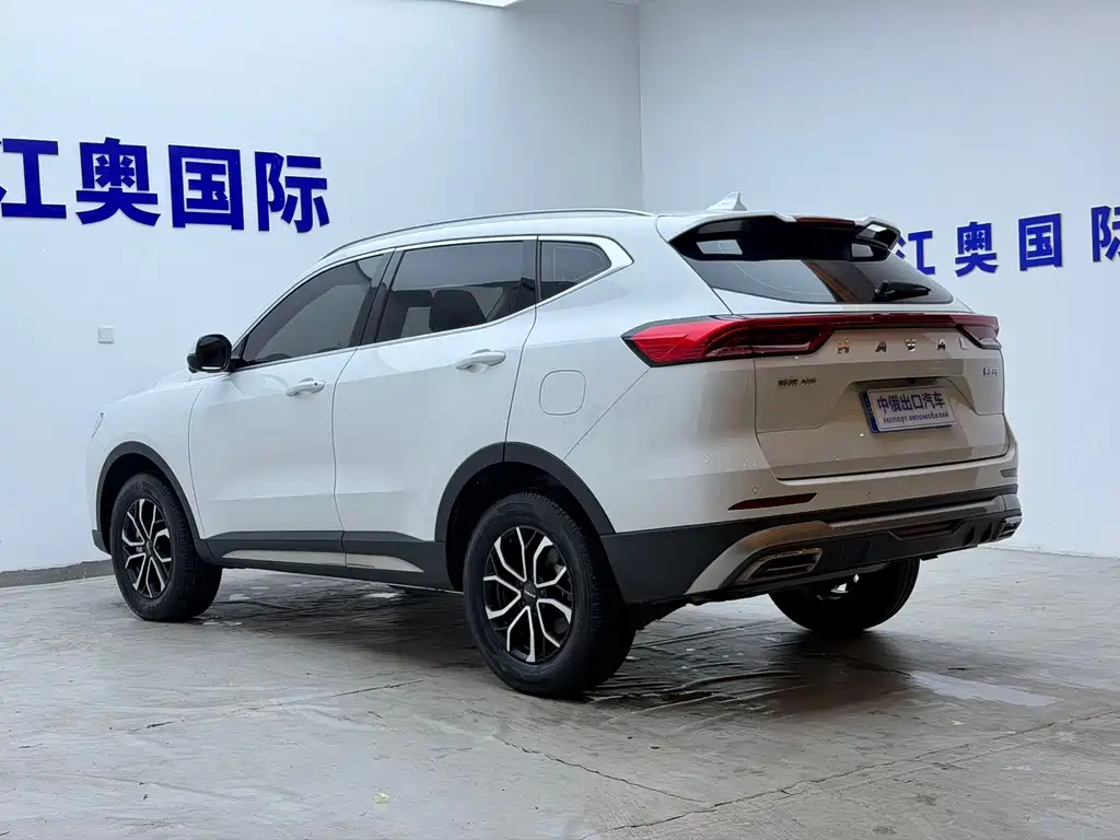 Haval H6 2023 — фото 21