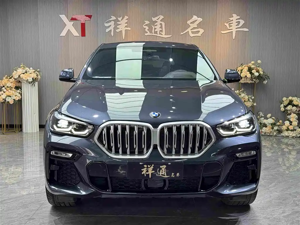 BMW X6 2021