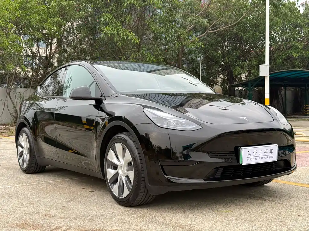 Tesla Model Y 2023 — фото 4