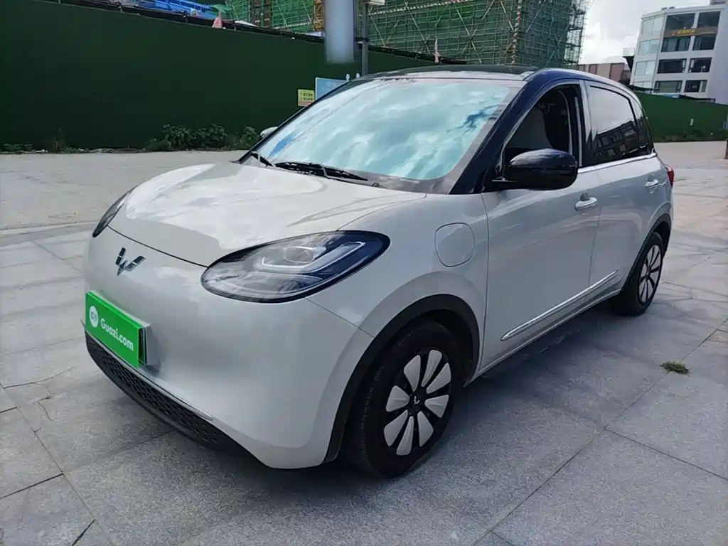 Wuling Bingo 2024