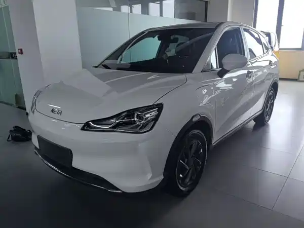 Neta V 2024