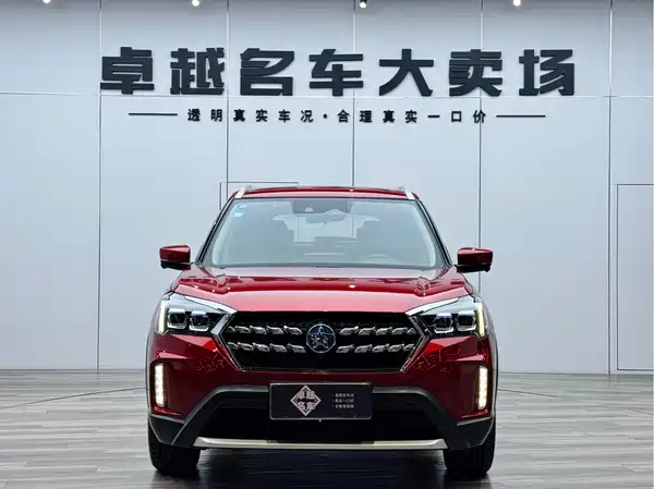 Venucia T60 2019
