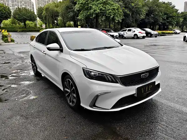 Geely Binrui 2024
