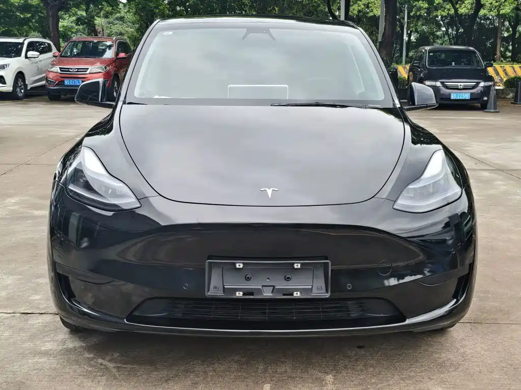 Tesla Model Y 2023 — фото 2