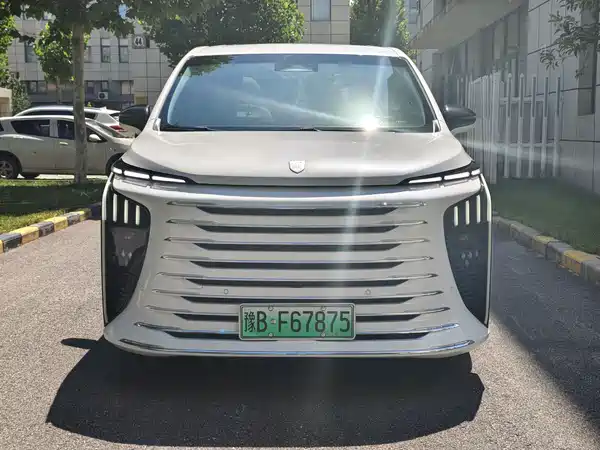 Dongfeng Forthing Xinghai V9 2024