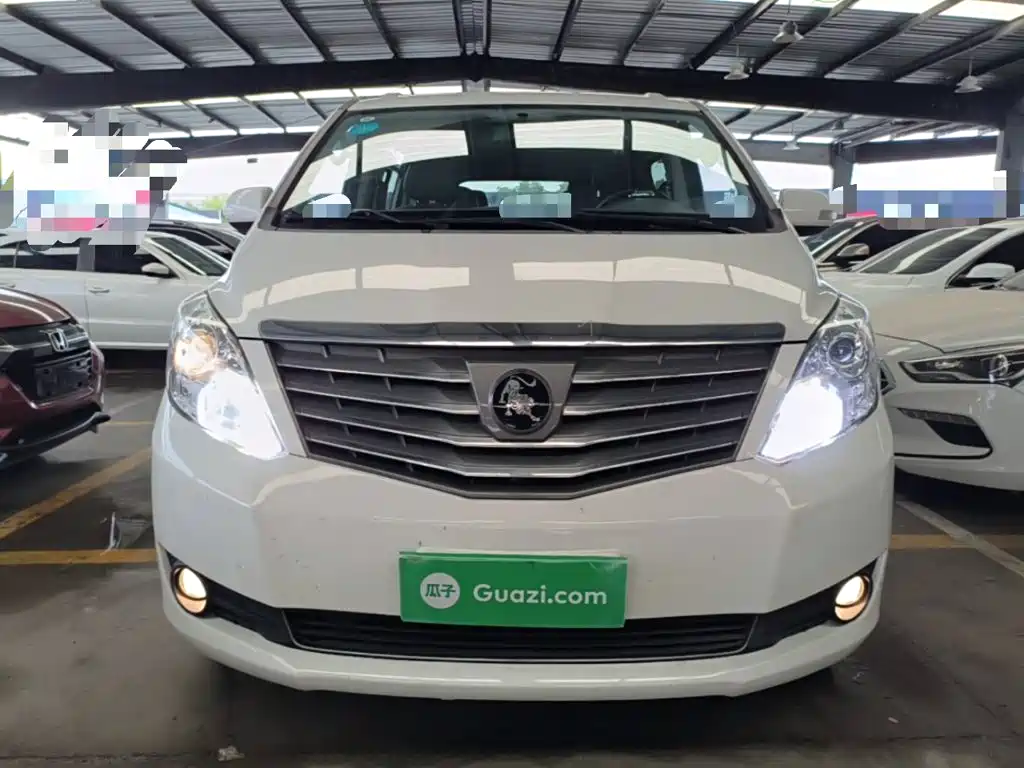 Fengxing Lingzhi PLUS 2021