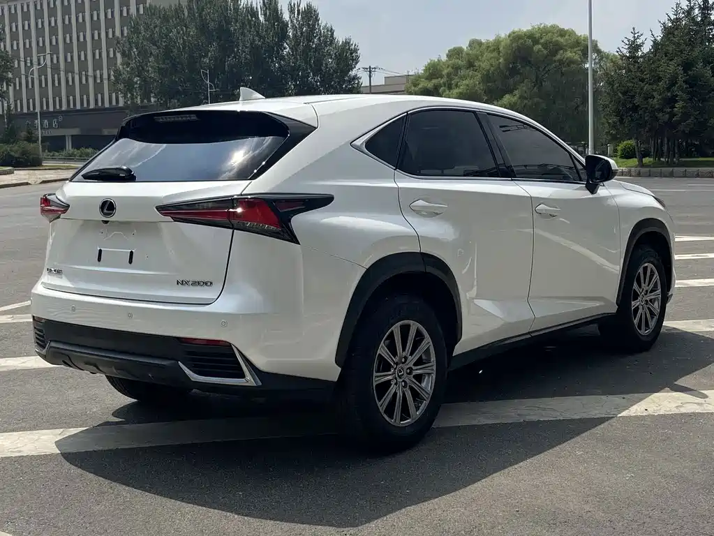 Lexus NX 2020 — фото 16