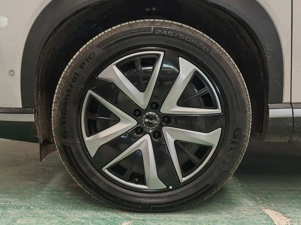 BYD Sealion 07 DM-i 2025 — фото 16