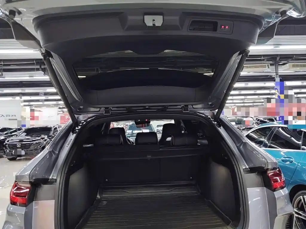 BYD Song PLUS New Energy 2024 — фото 19
