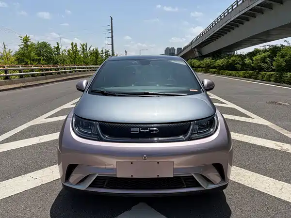 BYD Dolphin 2022