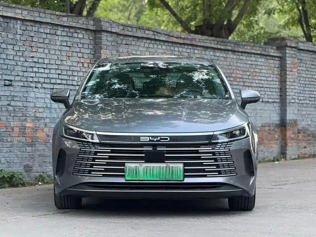 BYD Destroyer 05 2022 — фото 2